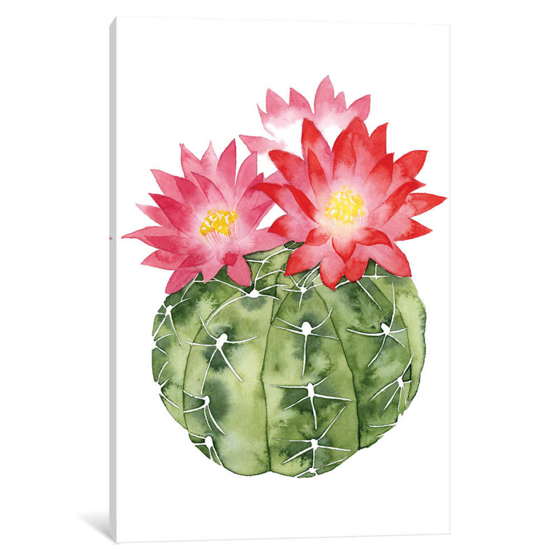 Cactus Bloom III by Grace Popp - Wrapped Canvas Painting, 66.04 cm H x 45.72 cm W x 1.91 cm D