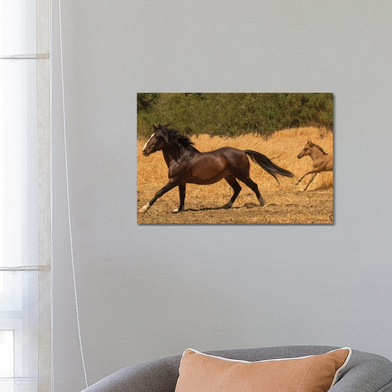 Amante & Amber by Sally Linden - Wrapped Canvas Print, 66.04 cm H x 45.72 cm W x 3.175 cm D