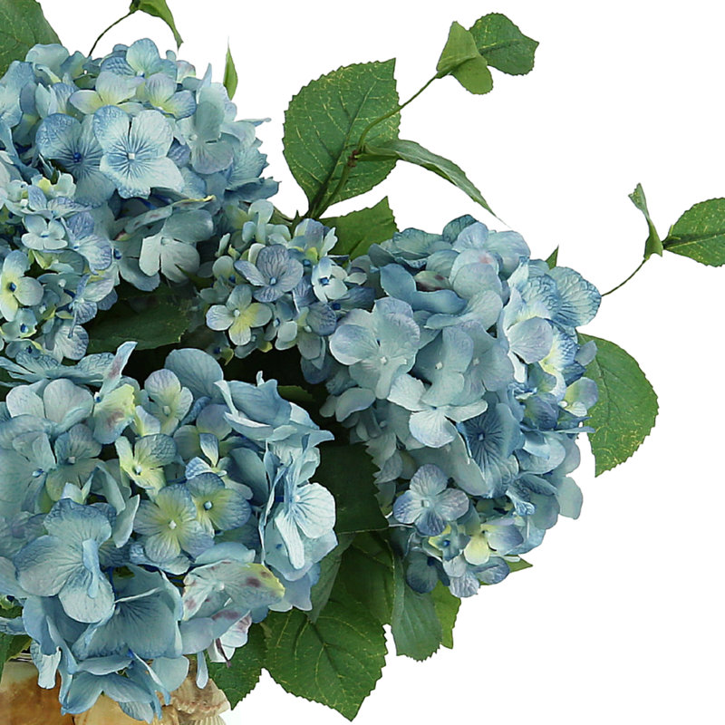 Hydrangeas Arranged in Glass Vase with Shells, Blue/Beige