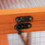 Poulailler orange multifonctionnel avec assemblage d'outils, fenêtre d'observation et robuste pour petits animaux, perchoir à température contrôlée