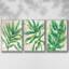 Parchment Palms I - Ensemble de 3 cadres flottants sur toile-97710212-97710211