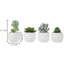 10.9cm Faux Succulent Plant in Ceramic Pot