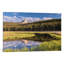Tuolumne prairies, reproduction de photo sur toile tendue-19559204-74290842-74290843
