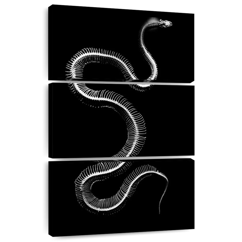 Brampt Snake Bones, 32'' H x 20'' W