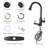 Topcraft Single-Hole Single-Handle Pull-Down Kitchen Faucet With Base Plate-125501514
