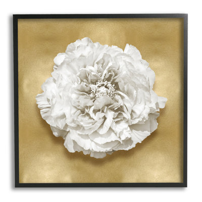 Œillet blanc glamour encadré sur bois par Caroline Kelly