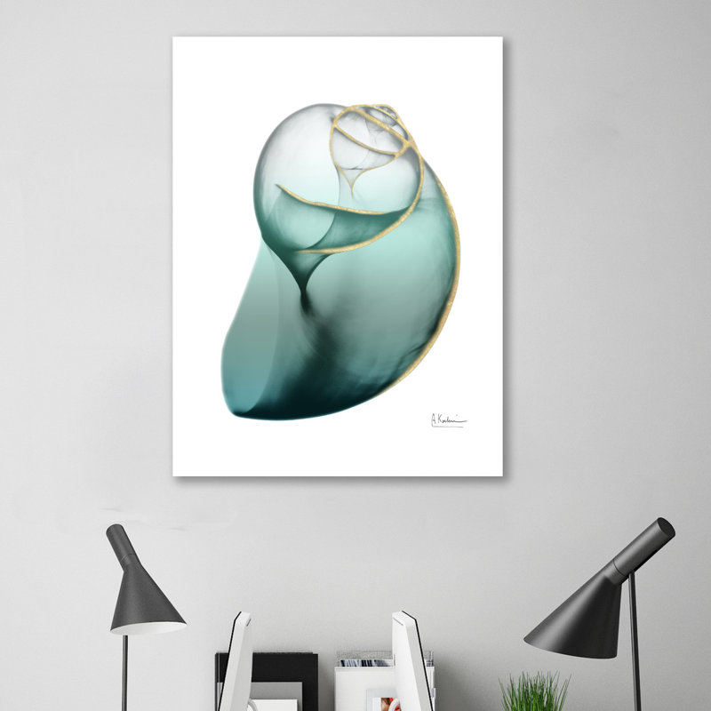 Shimmering Snail 3 - Wrapped Canvas Print, 41 cm H x 30 cm W