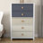 Bustillo 30.7'' Wide 5 -Drawer Chest-1285406361
