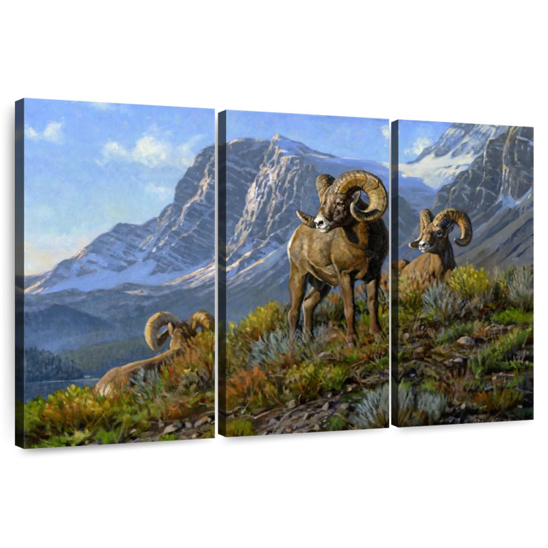 Rams, 20" H x 33" W