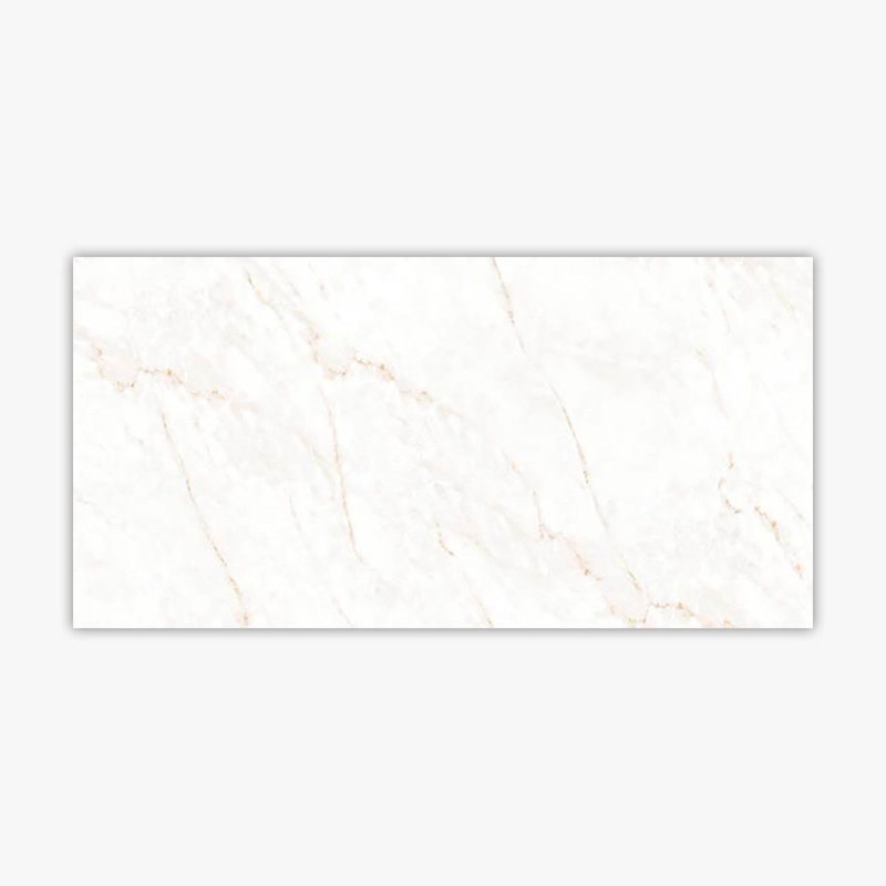 Carreau de marbre et de revêtement en marbre Calacatta Glam 24 po x 48 po