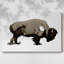 Toile tendue avec bison monochrome I-Gallery-30358133