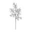 Ensemble de 12 vaporisateurs corail H 30 po - noir
