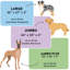 Snuggle Orthopedic Polyester Pet Bed-1537794345-1537794346
