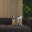 Floral Square Cushion-1986138427-1986138431