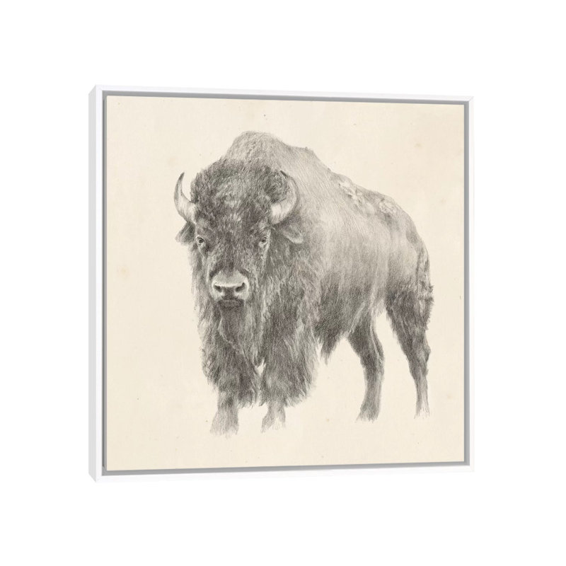 "Western bison study" par Ethan Harper, reproduction d’art, H 18 po x l 18 po x 1,5 po, Toile blanche encadrée, Pas de tapis