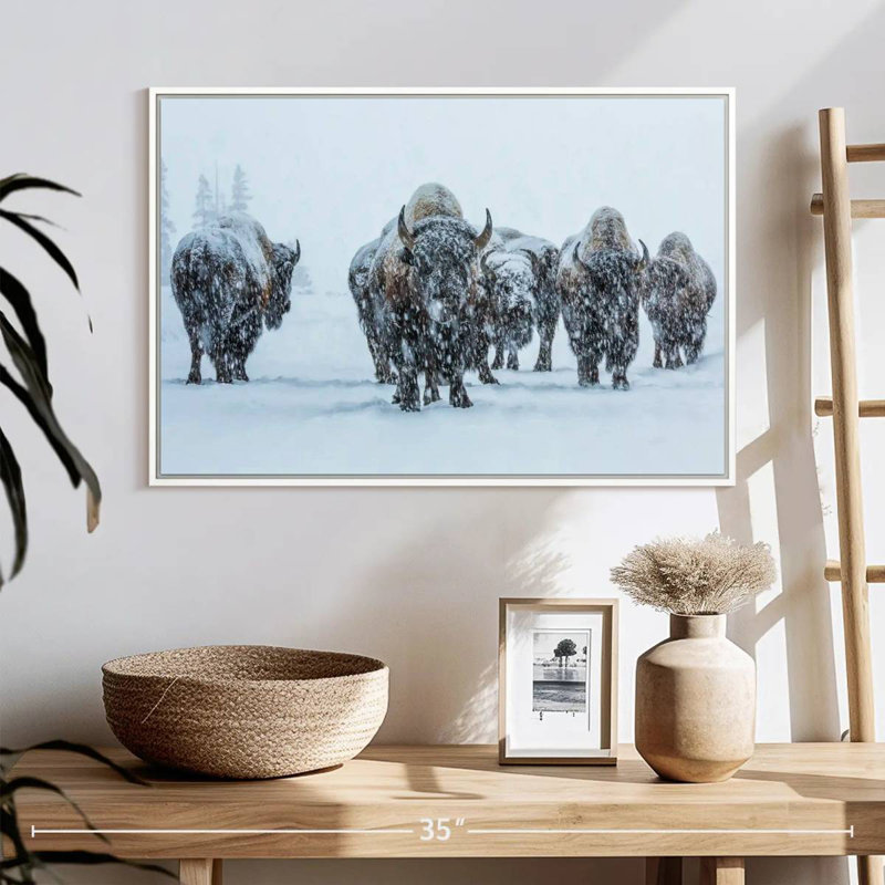 Bisons dans le parc national de Yellowstone, Cadre flottant blanc, 25 po x 17 po