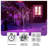 72'' Lighted Trees & Branches