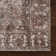  Hillstone Collection Calianna Traditional Vintage Medallion Area Rug