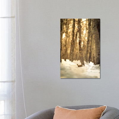 Squirrel In A Deep Snow by Nik Rave - Wrapped Canvas Print