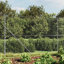 Berenices Wire Fence-1275273777-1275273776