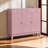 24 Pair Shoe Storage Cabinet-99348725
