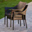 Chaise avec accoudoirs de patio Danna-21271576