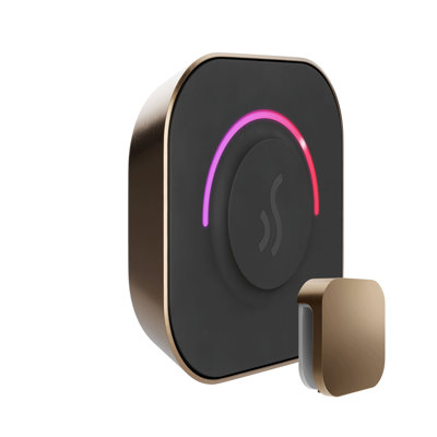 TempoTouch Steam Shower Control and Steamhead 