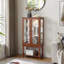 Armoire Curio avec rangement Curio-1884133589