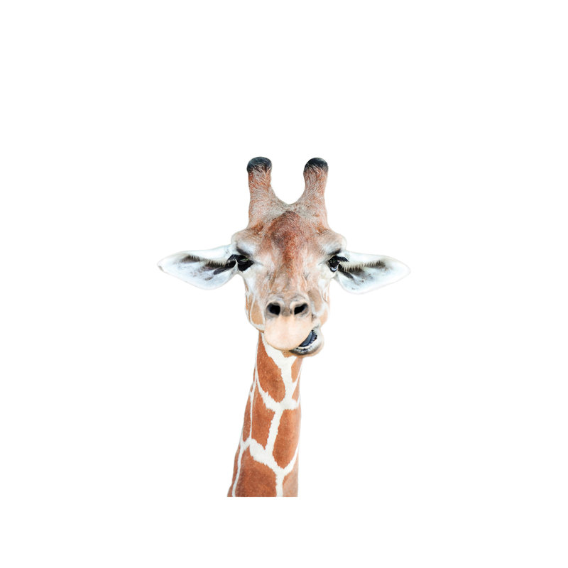 Happy Giraffe - Wrapped Canvas Print, 101.6 cm H x 66.04 cm W x 3.175 cm D