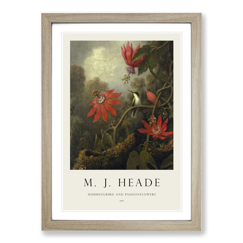 Hummingbird and Flowers by Martin Johnson Heade - Picture Frame Painting, 36cm H x 27cm W x 2cm D, Oak Framed
