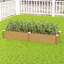 Raised Garden Bed-850066695