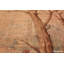 One-of-a-Kind Rectangle 11' X 19' Area Rug