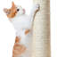 146cm H Cat Tree-1407498700