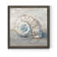 " Blue Shell Study III "-145096514-145096512