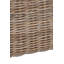 Lily Manor Rattan Decorative Basket
