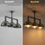 Cassander 3 - Light Pendant-181211683