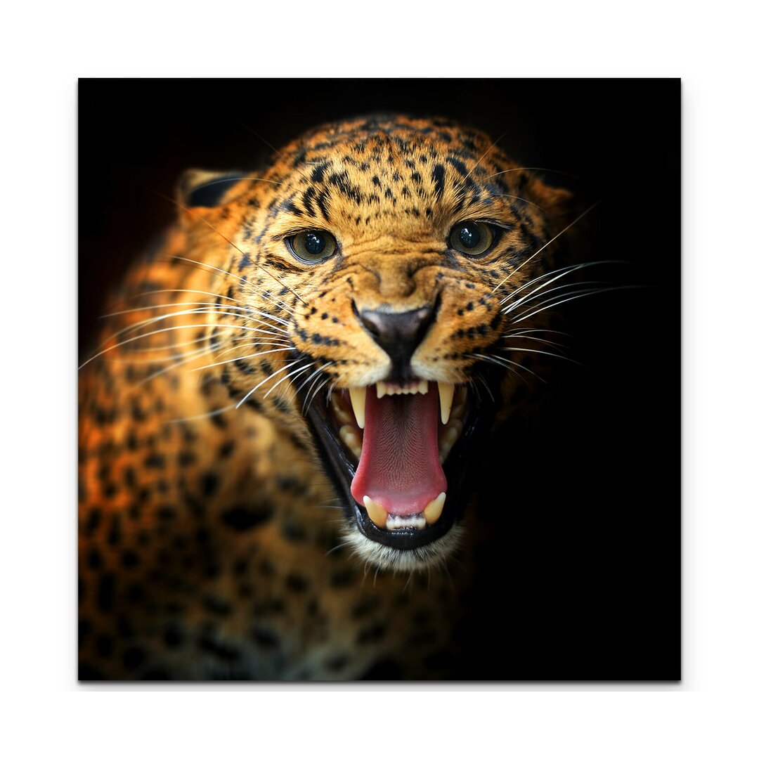 Leinwandbild Portrait eines fauchenden Leoparden