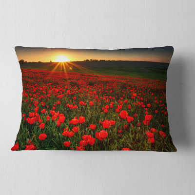 Reversible Throw Pillow