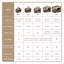 Foldable Pet Carrier for Dogs Cat Carrier-74777166-81878543