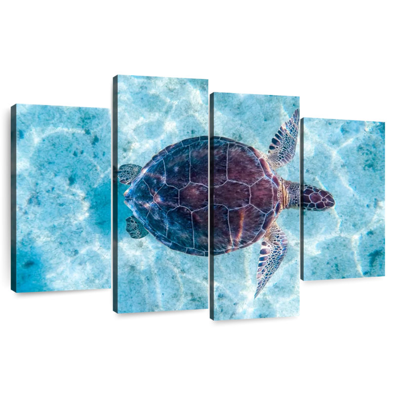 Brampt Turtle Swimming, 22" H x 36" W