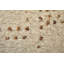 Truxel Modern Polka Dots, Tan/Brown Area Rug-2020585951