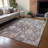 Machine Washable Indoor/Outdoor Francky ACN2355 Traditional Rug-255079515