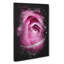 The Heart Of A Pink Rose - Wrapped Canvas Painting-56633860