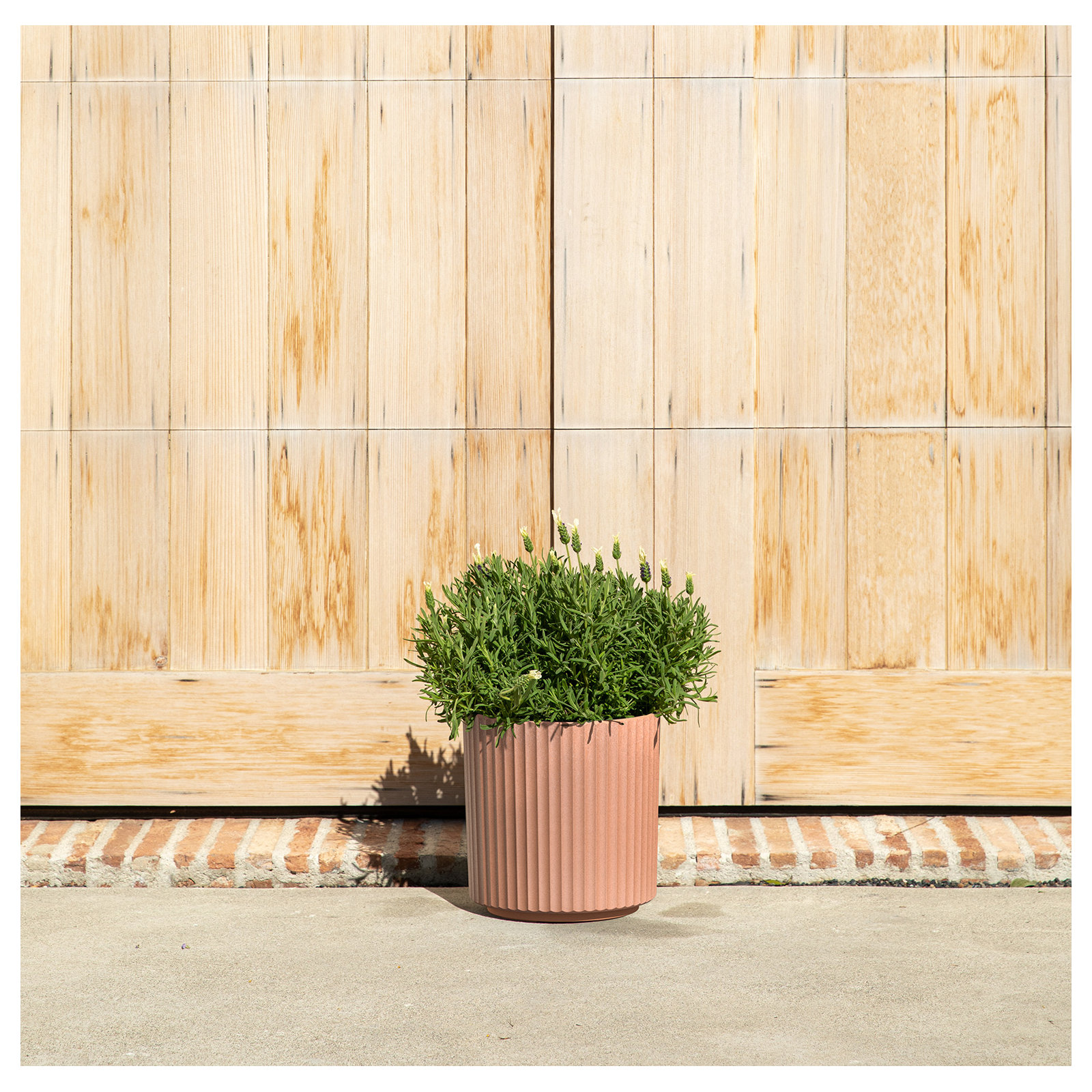 Demi Series Round Planter, 1, 11.5" H x 10.5" W x 10.5" D, Terracotta