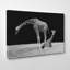 Black and White Photographic - Wrapped Canvas-19090909