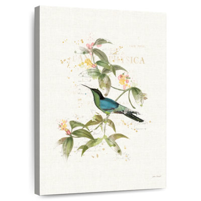 Brampt Colourful Hummingbirds IV
