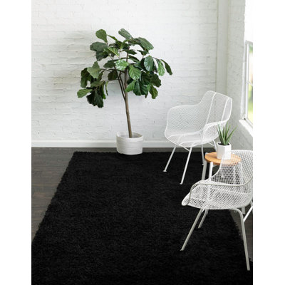 Indoor Rug