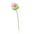 Pink Green