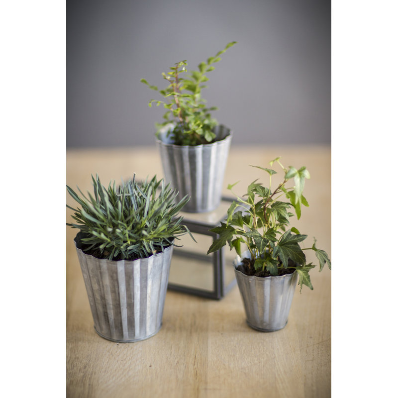 Clintwood Metal Pot Planter