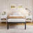 Jalyna Heavy Duty 14'' Metal Bed Frame with Round Corners, Box Spring Not Required, Noise Free-517900157